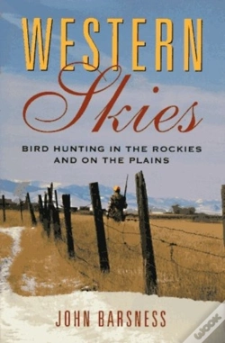 Capa do artigo Western Skies