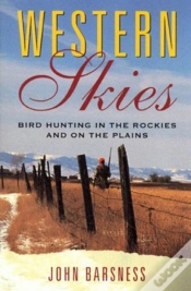 Capa do artigo Western Skies