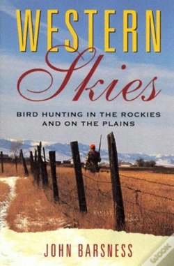 Capa do artigo Western Skies