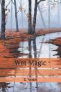 Wet Magic - Preview