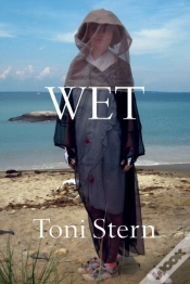Capa do artigo Wet