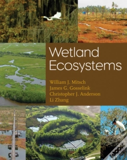 Capa do artigo Wetland Ecosystems
