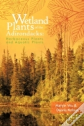 Wetland Plants Of The Adirondacks