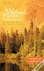 Wetland Plants Of The Adirondacks