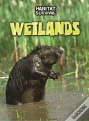 Capa do artigo Wetlands