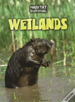 Capa do artigo Wetlands