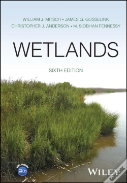 Capa do artigo Wetlands
