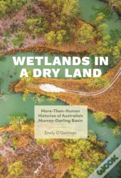 Wetlands In A Dry Land