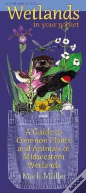 Wetlands In Your Pocket