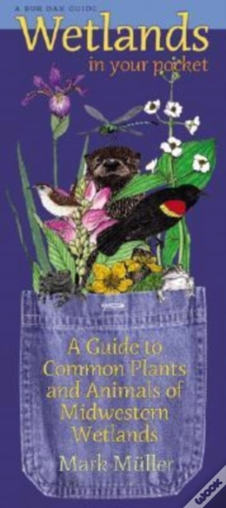Capa do artigo Wetlands In Your Pocket