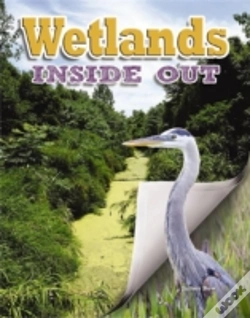 Capa do artigo Wetlands