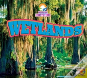 Capa do artigo Wetlands