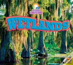Capa do artigo Wetlands