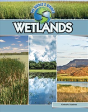 Wetlands - Preview