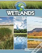 Capa do artigo Wetlands