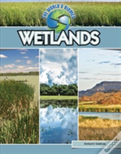 Capa do artigo Wetlands