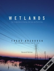 Capa do artigo Wetlands
