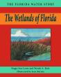Wetlands Of Florida - Preview