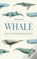 Whale