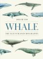 Whale - Preview