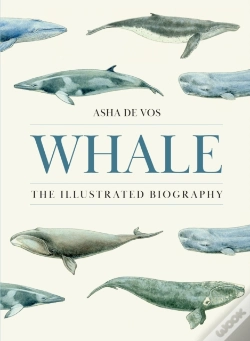 Capa do artigo Whale