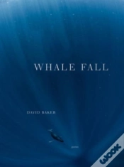 Capa do artigo Whale Fall