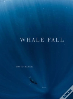 Capa do artigo Whale Fall
