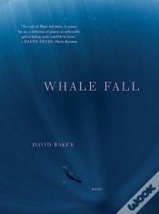 Capa do artigo Whale Fall