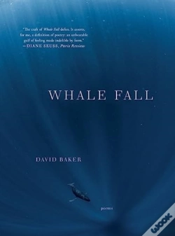 Capa do artigo Whale Fall