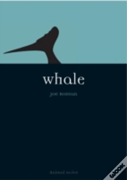 Capa do artigo Whale