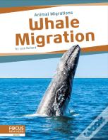 Whale Migration