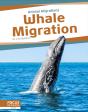 Whale Migration - Preview
