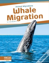 Whale Migration