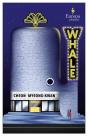 Whale - Preview