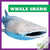 Whale Shark
