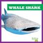 Whale Shark - Preview