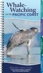Whale Watching On The Pacific Coast - Preview