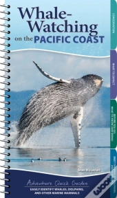 Whale Watching On The Pacific Coast