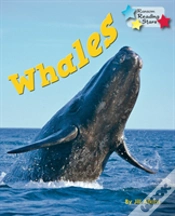 Capa do artigo Whales