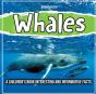 Whales - Preview