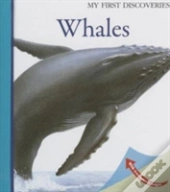 Whales