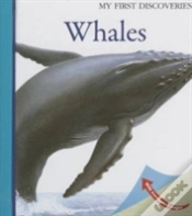 Capa do artigo Whales
