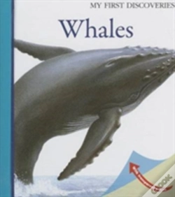 Capa do artigo Whales