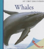 Whales - Preview