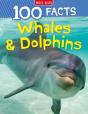 Whales & Dolphins - Preview