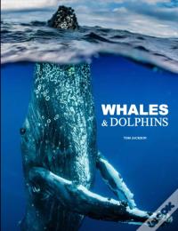 Whales & Dolphins