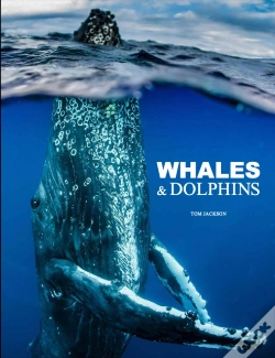 Capa do artigo Whales & Dolphins