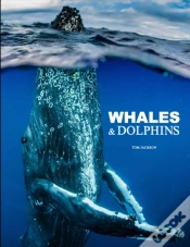 Capa do artigo Whales & Dolphins