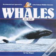Whales For Kids