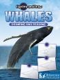 Whales - Preview